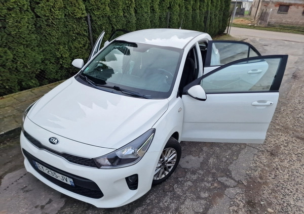 Kia Rio cena 25900 przebieg: 83635, rok produkcji 2018 z Knurów małe 781